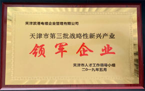 領(lǐng)軍企業(yè)