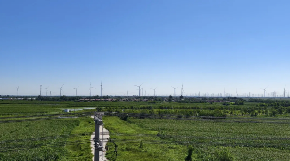 世界地球日｜守護(hù)資源，促進(jìn)人與自然和諧共生